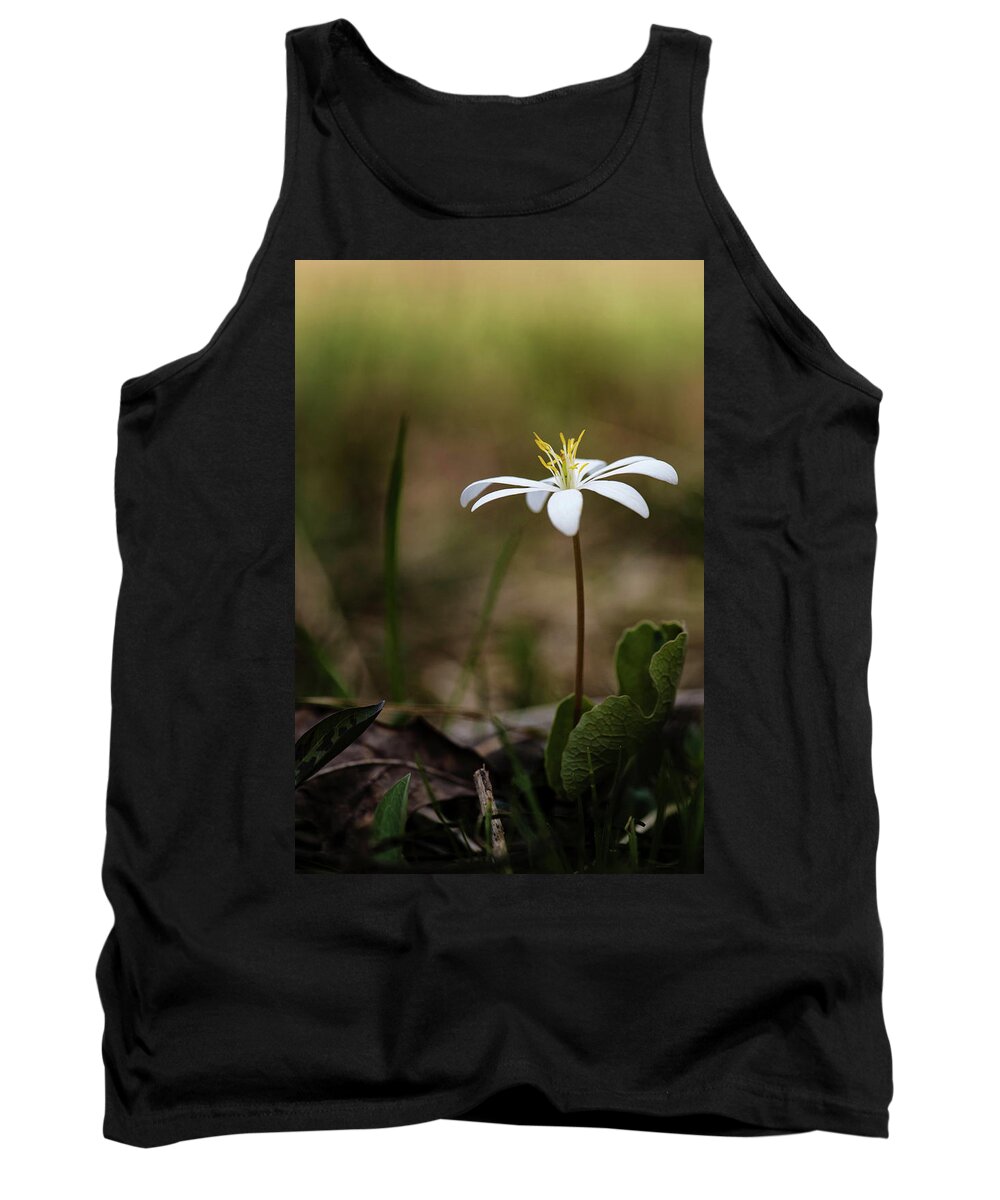Bloodroot Tank Top featuring the photograph Bloodroot by Linda Shannon Morgan