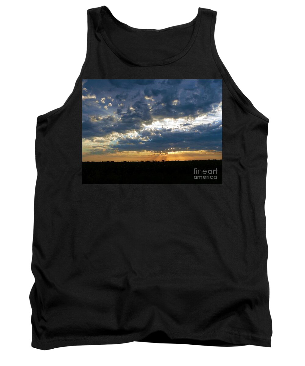 Dramatic Tank Top featuring the photograph Bluff Country Heaven by Rosanne Licciardi