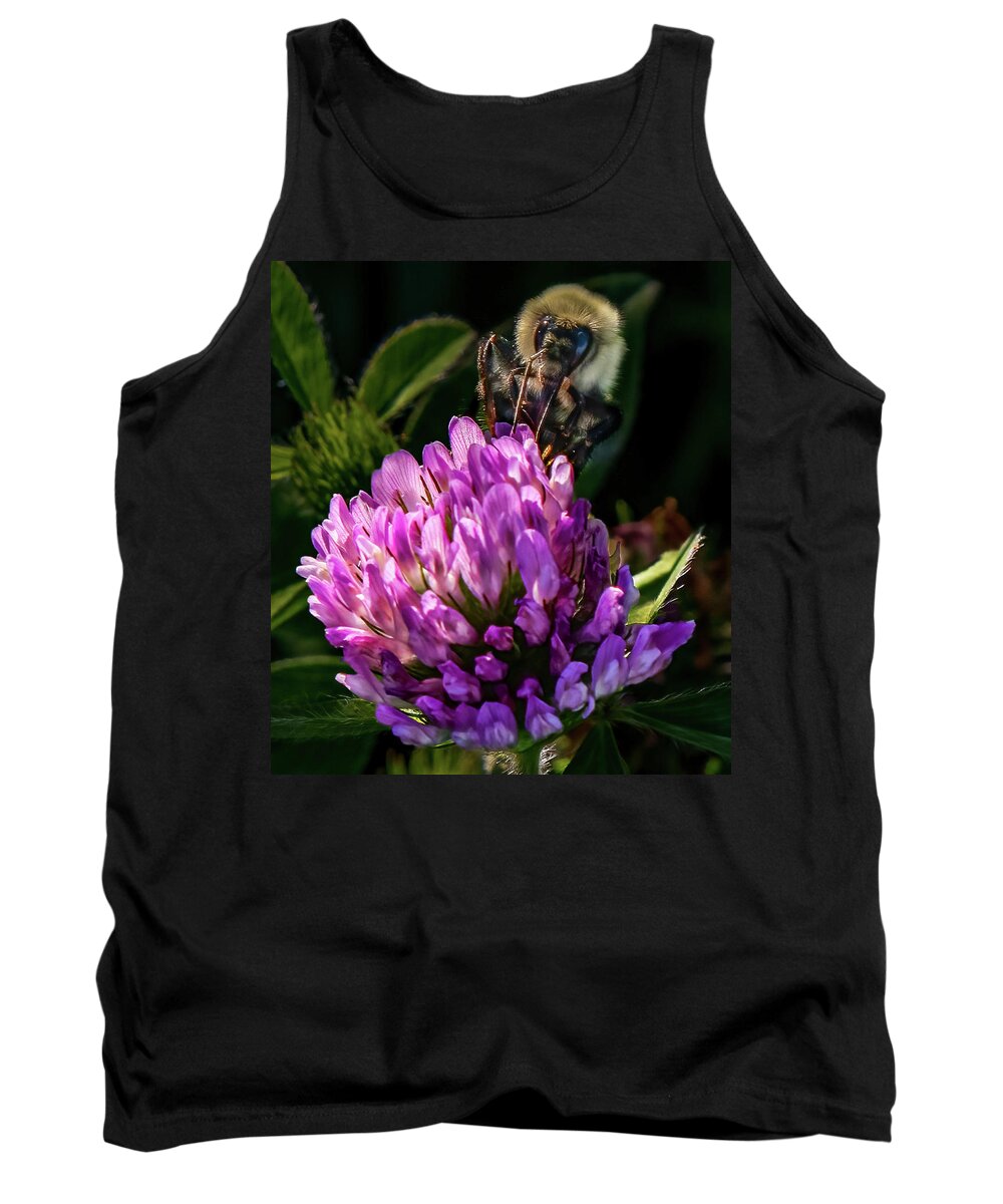 Bee Tank Top featuring the photograph Bumblebee on clover by Brian Shoemaker