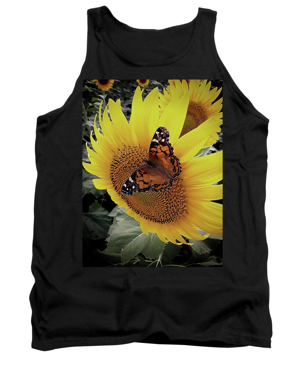 Admiral Butterfly Tank Top featuring the photograph Butterfly on Sunflower by Karen McKenzie McAdoo
