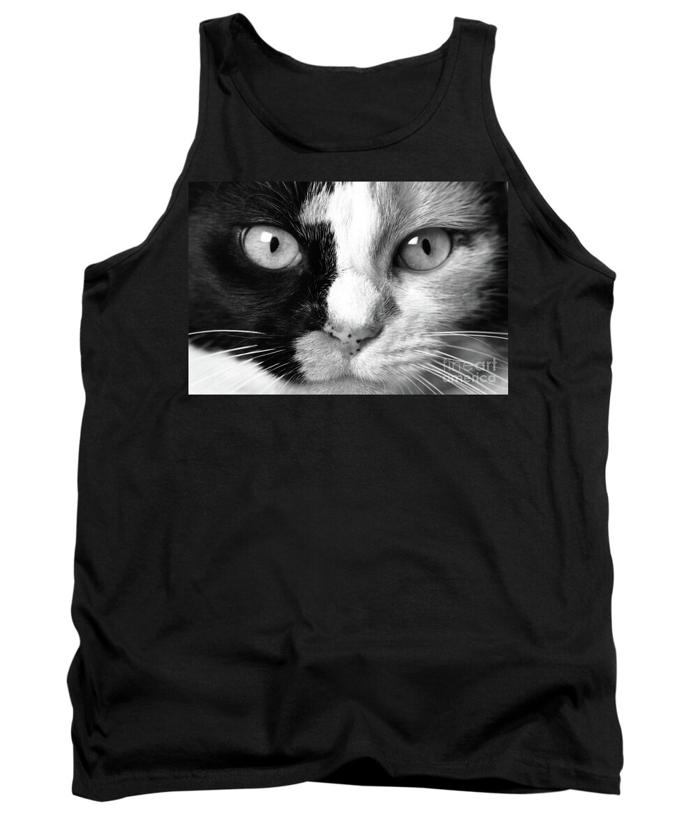Calico Tank Top featuring the photograph Calico Eyes by John Hartung  ArtThatSmiles com