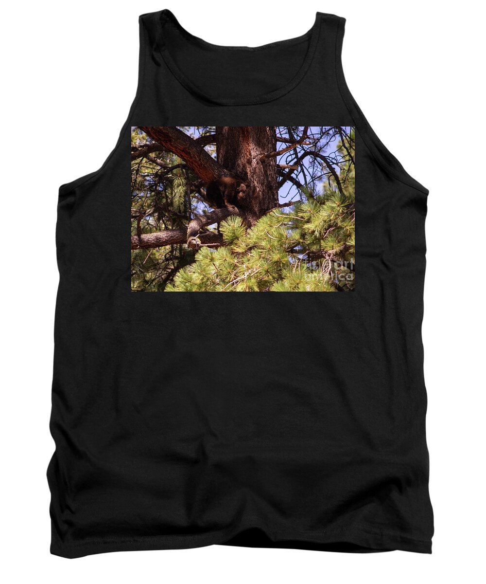 Wildlife Tank Top featuring the photograph cub in El Dorado National Forest, California, U.S.A.-5 by PROMedias US