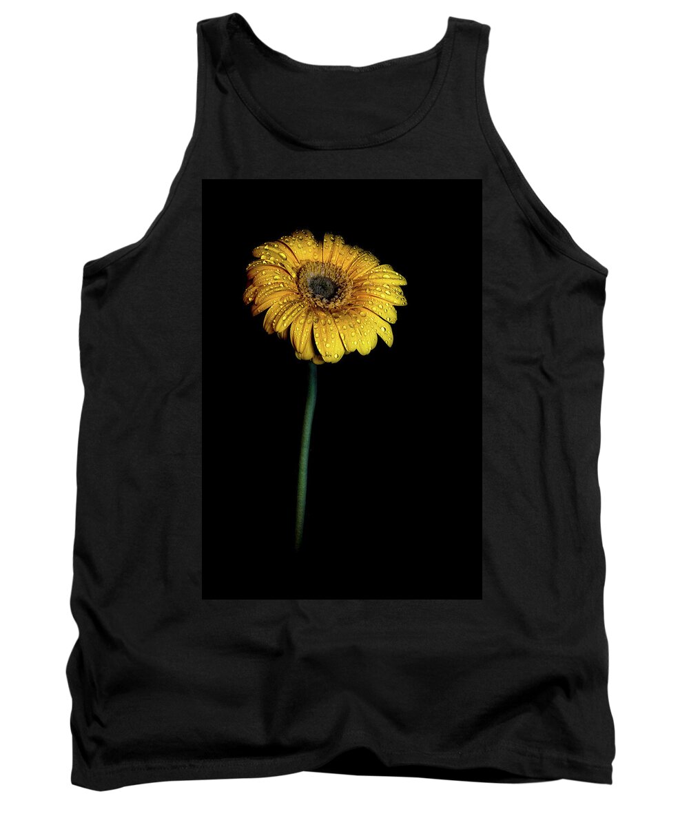 Flower Tank Top featuring the photograph Daisy After The Night Rain by Sandi Kroll