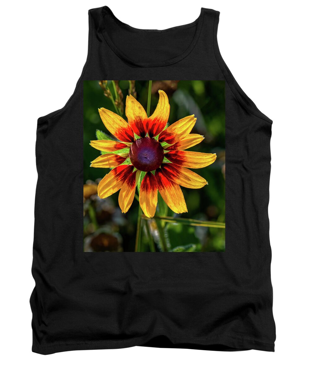 Colors Tank Top featuring the photograph Daisy in sunlight by Brian Shoemaker