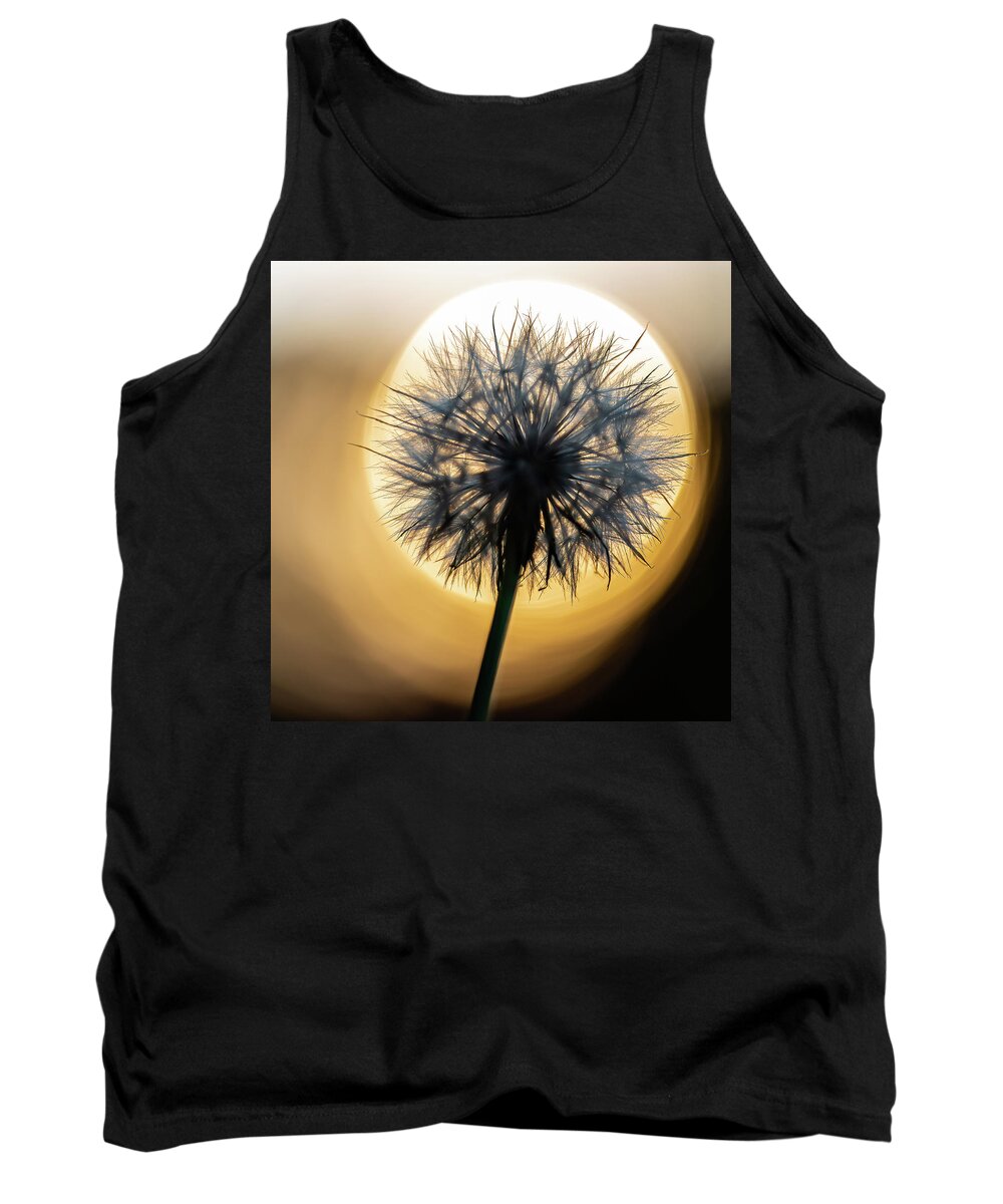 2020 Tank Top featuring the photograph Dandelion and Sonne-3 by Charles Hite