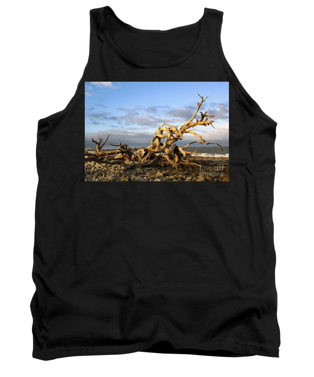 Driftwood Tank Top featuring the photograph Driftwood Beach Afternoon on Jekyll Island by Sea Change Vibes