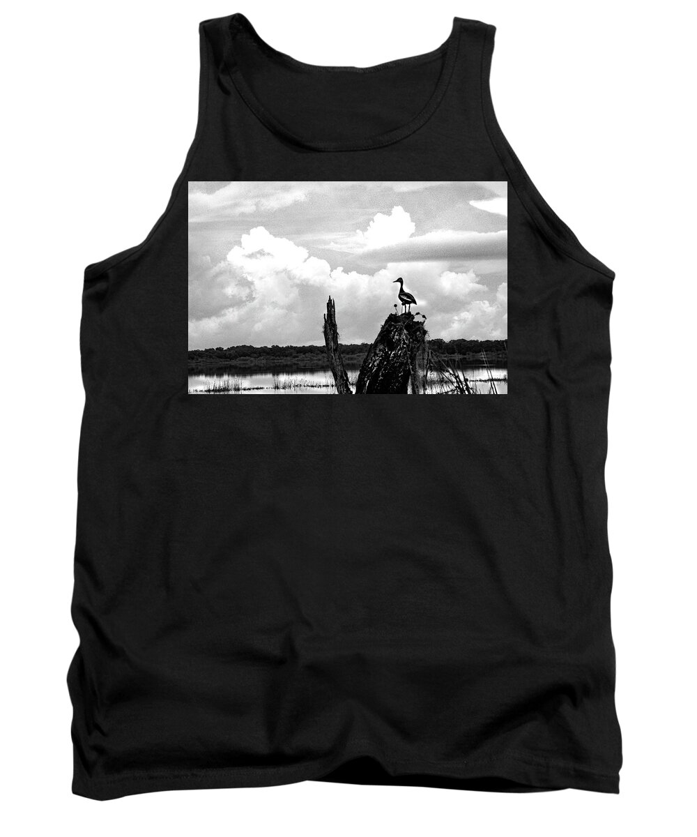 Clouds Tank Top featuring the photograph Gathering Storm by Rick Redman