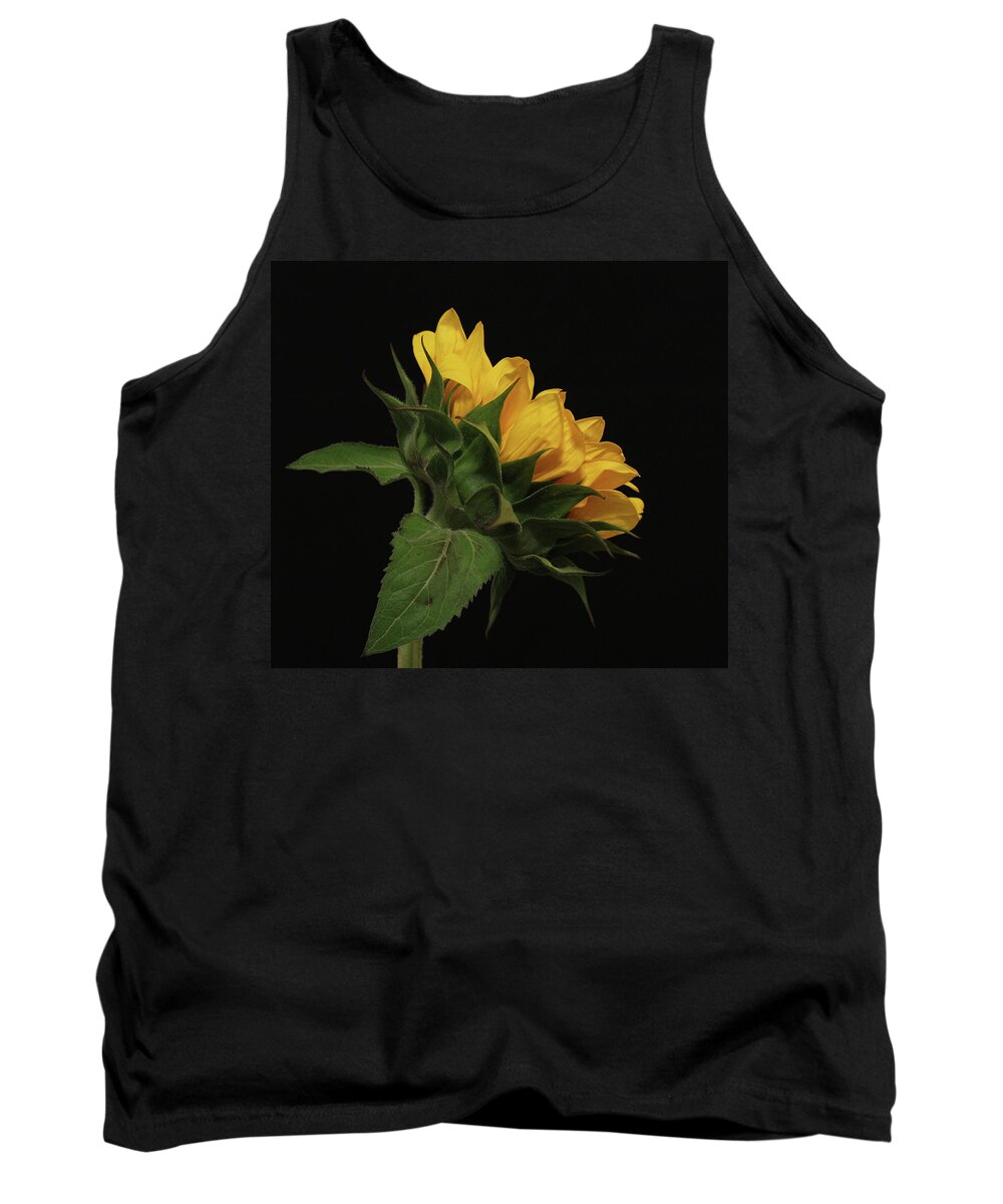 Sunflower Tank Top featuring the photograph Golden Beauty by Judy Vincent