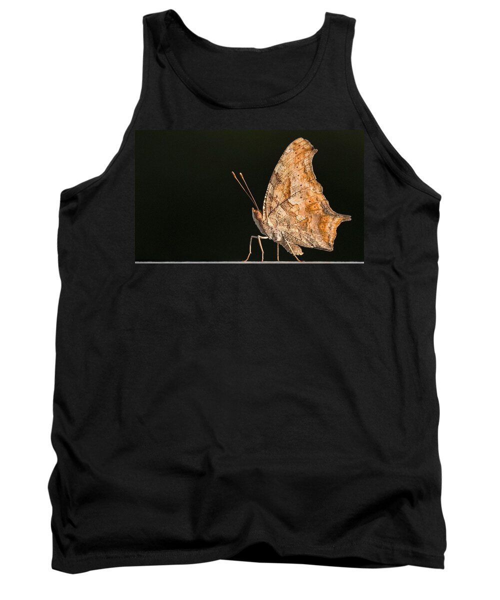 Polygonia Comma Tank Top featuring the photograph Golden Wings by Puttaswamy Ravishankar