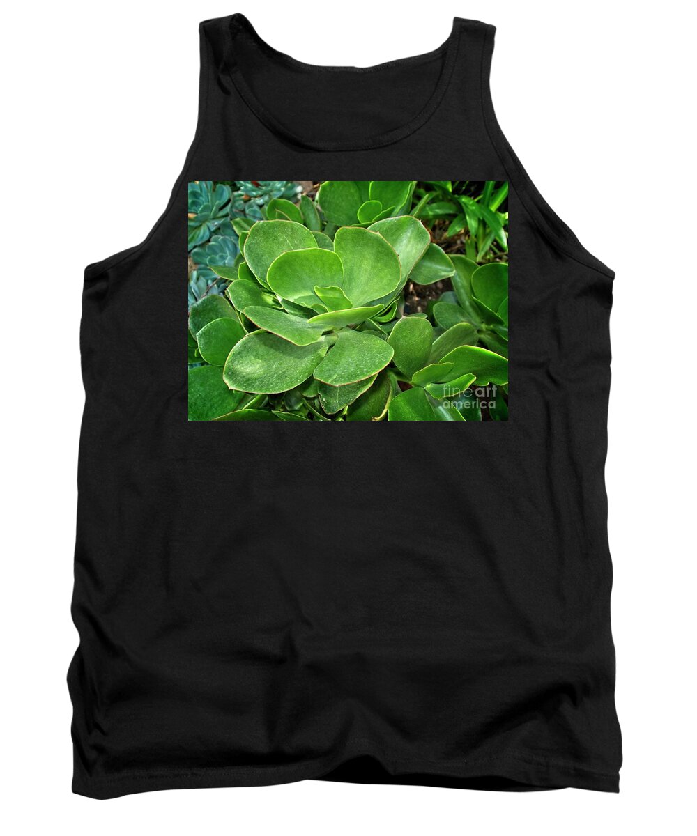 Succulent Tank Top featuring the photograph Green succulent by Fran Woods