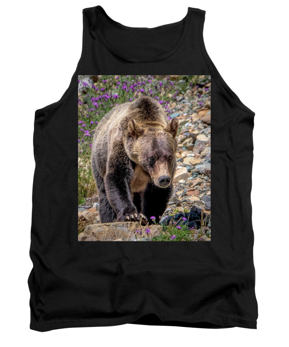 Glacier National Park Tank Top featuring the photograph Grizzly Bear by Jack Bell