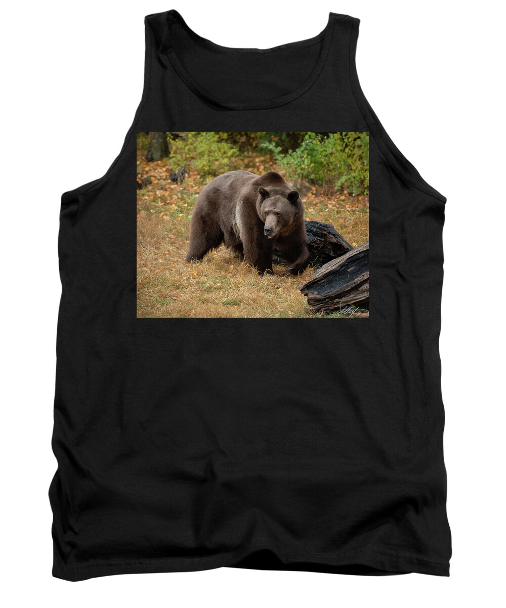 Bruno Tank Top featuring the photograph Grizzly Stroll by Meg Leaf