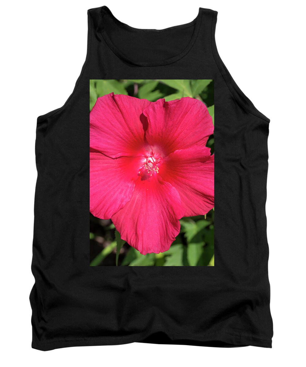 Flower Tank Top featuring the photograph Hibiscus Lord Baltimore by Dawn Cavalieri