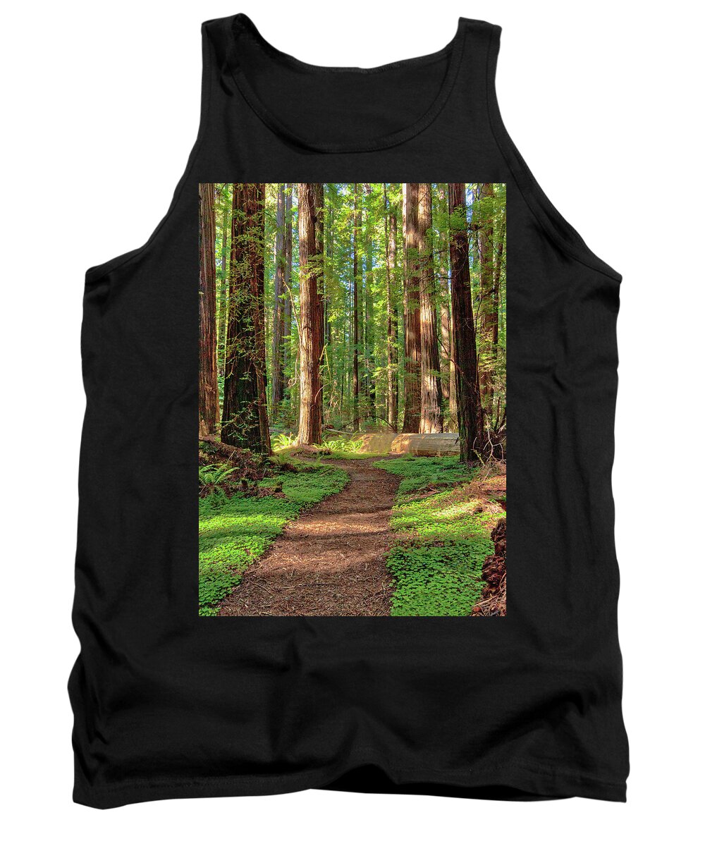 California Tank Top featuring the photograph Hiking Under the Giants by Dan Carmichael