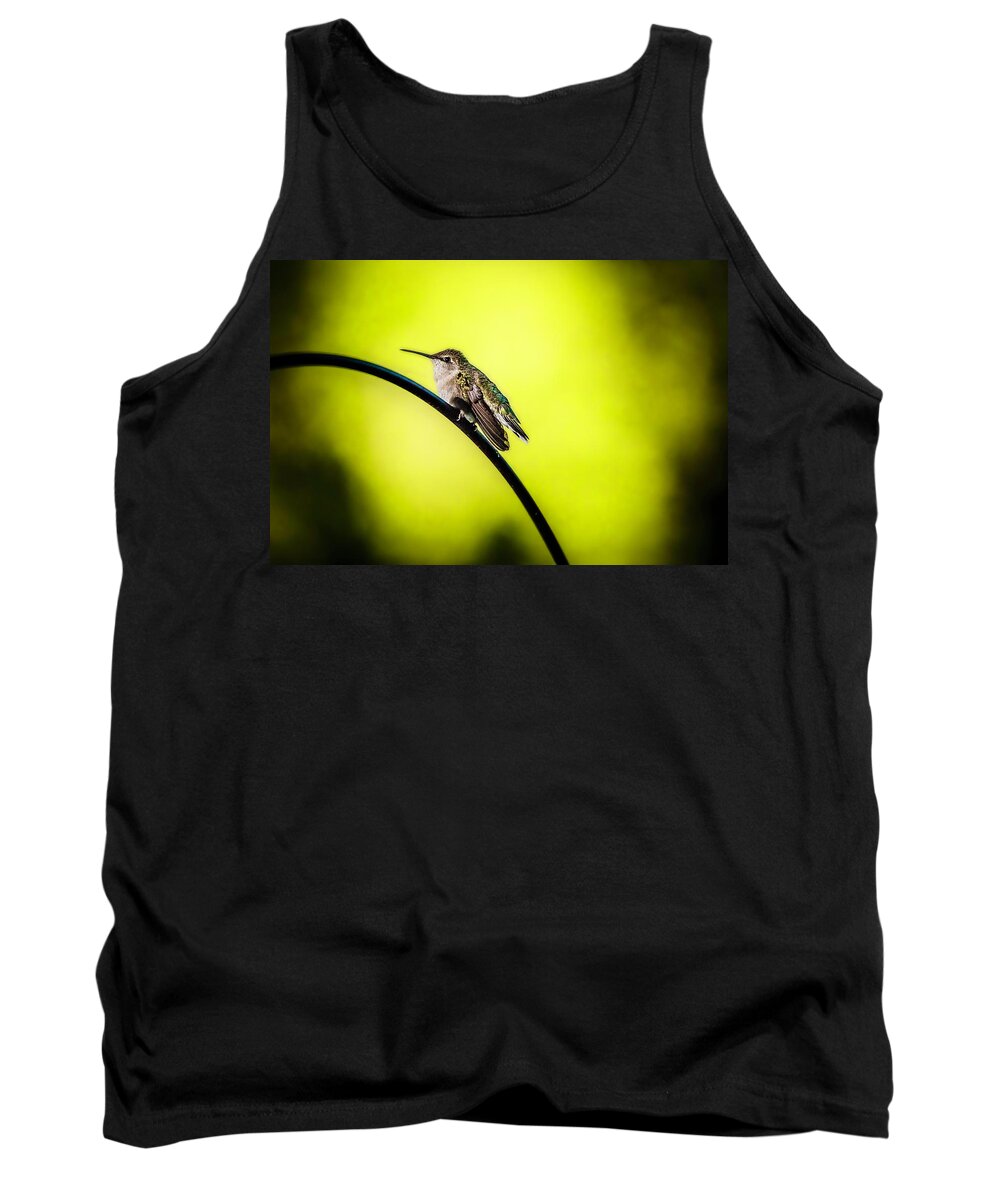  Tank Top featuring the photograph Hummingbird Love by Nicole Engstrom