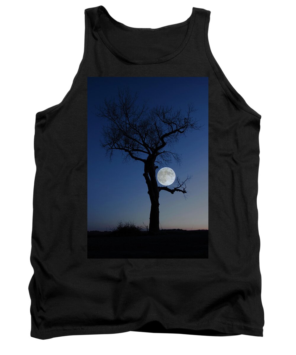 Frost Moon Tank Top featuring the photograph Idiosyncrasy by Aaron J Groen