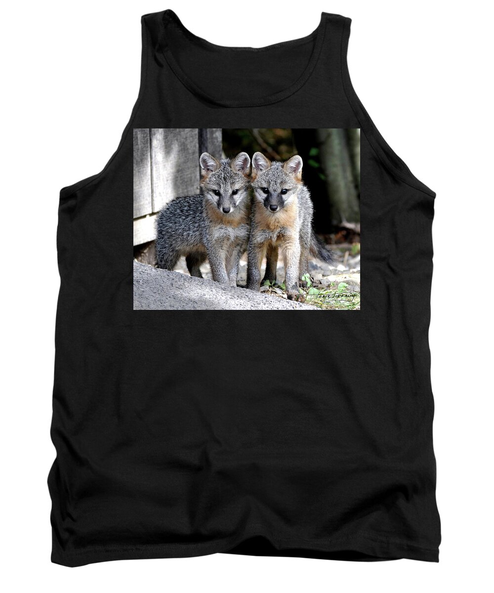 Kit Fox Tank Top featuring the photograph Kit Fox6 by Torie Tiffany