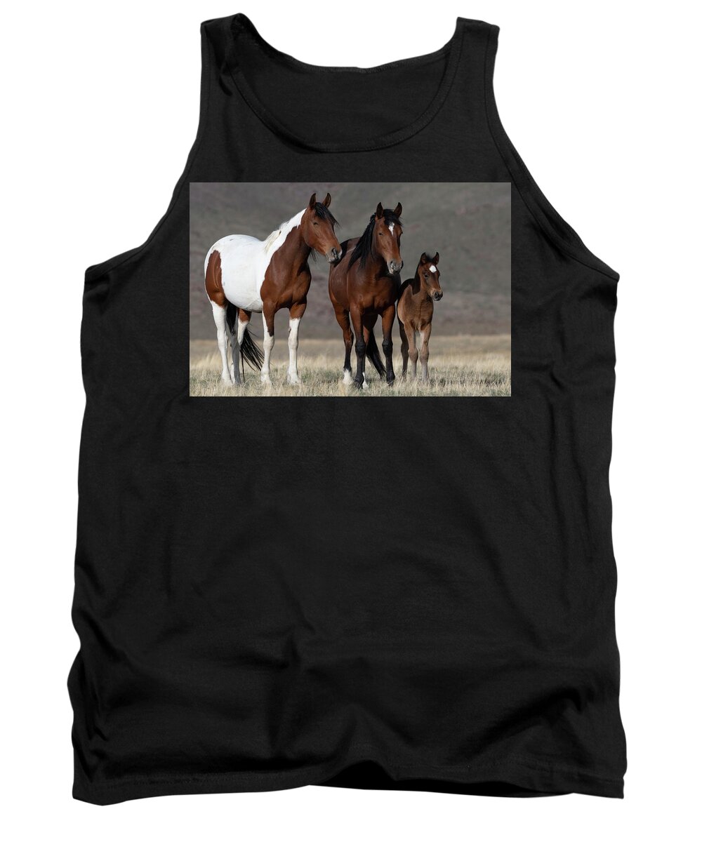 Wild Horses Tank Top featuring the photograph Little Family by Mary Hone