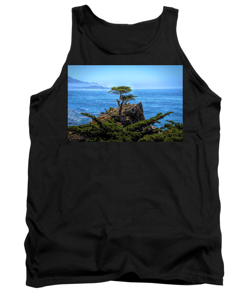 Lone Cypress Tank Top featuring the photograph Lone Cypress After The Storm by Barbara Snyder