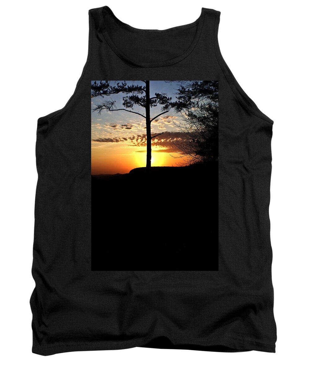 Lone Tank Top featuring the photograph Lone pine sunset by Douglas Barnett