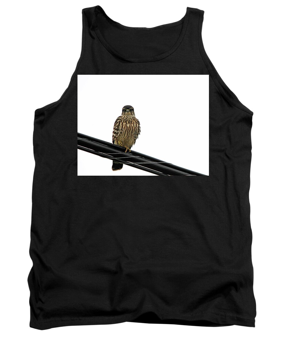 Merlin Tank Top featuring the photograph Magical Merlin by Debbie Oppermann