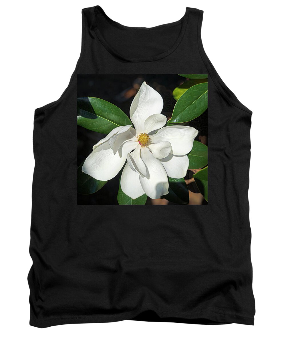 Magnolia Tank Top featuring the photograph Magnolia Portrait by Ginger Stein