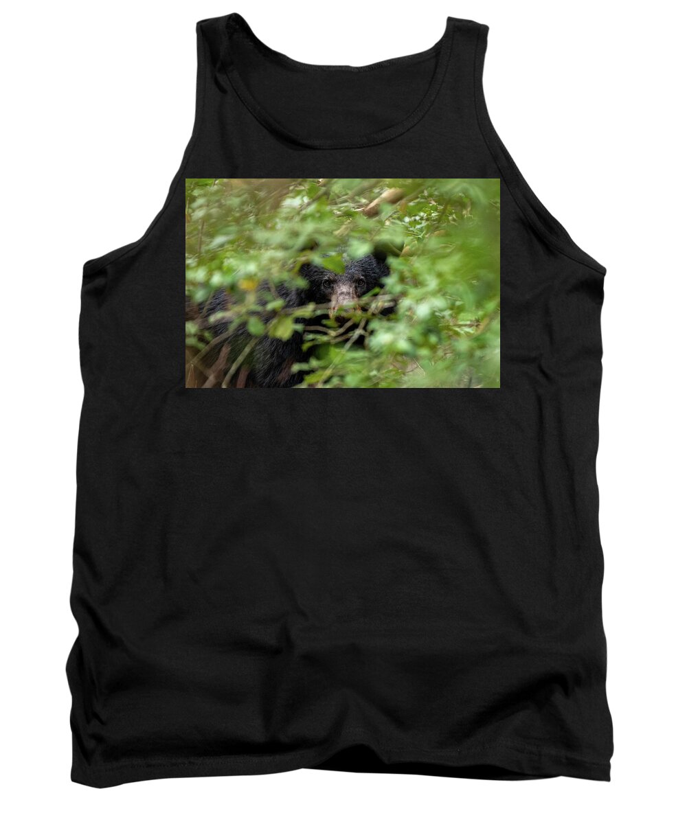 Great Smoky Mountains National Park Tank Top featuring the photograph Mama Bear Close Up by Robert J Wagner