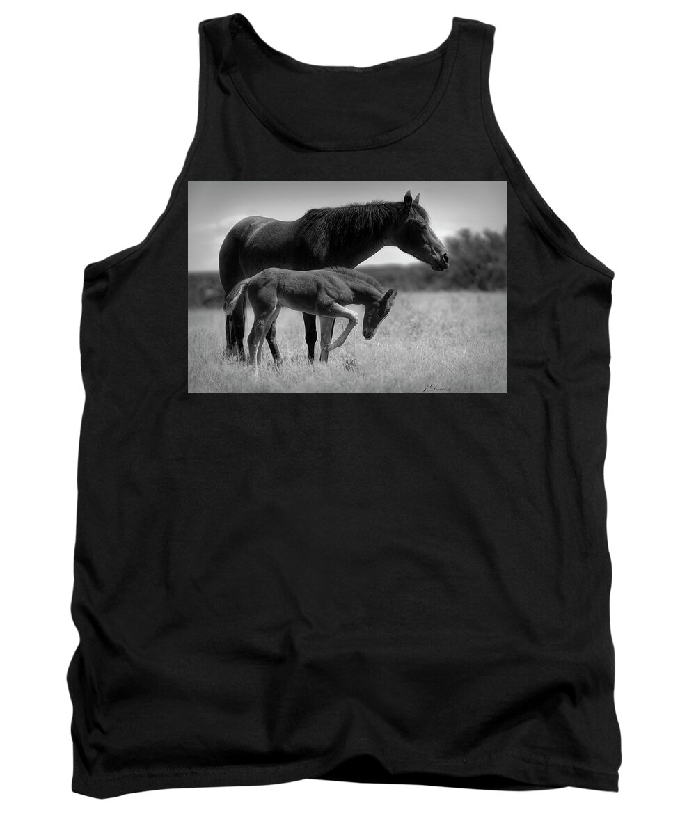 Mare Tank Top featuring the photograph Mare and Colt by Jonathan Davison
