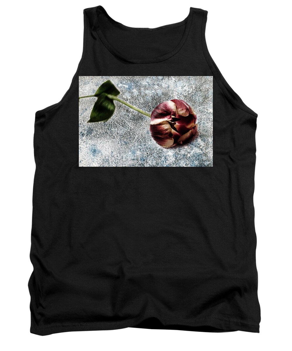 Red Tulip Tank Top featuring the photograph Mine red tulip by Al Fio Bonina