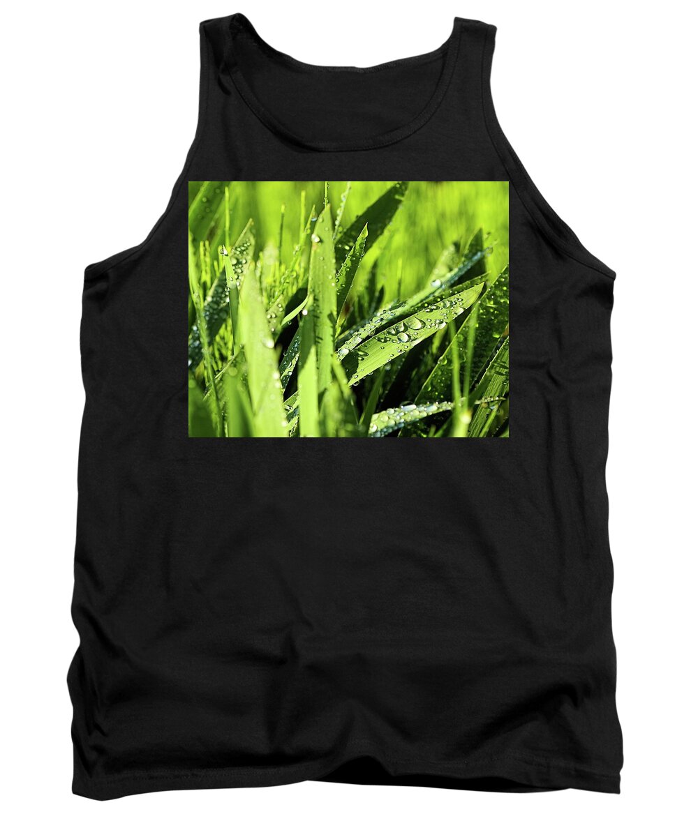 Racine Tank Top featuring the photograph Morning Dew I by Scott Olsen