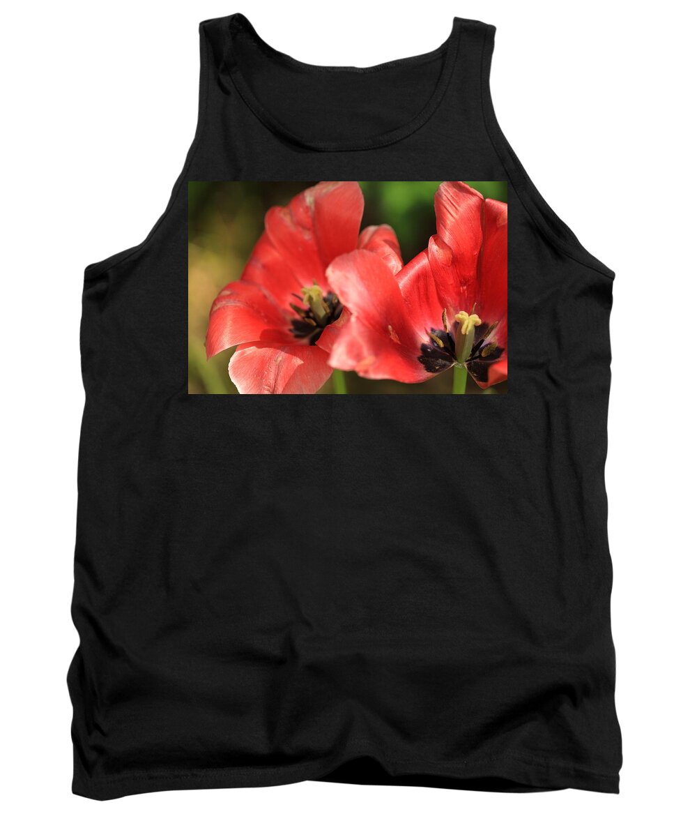  Tank Top featuring the photograph Morning by Windshield Photography