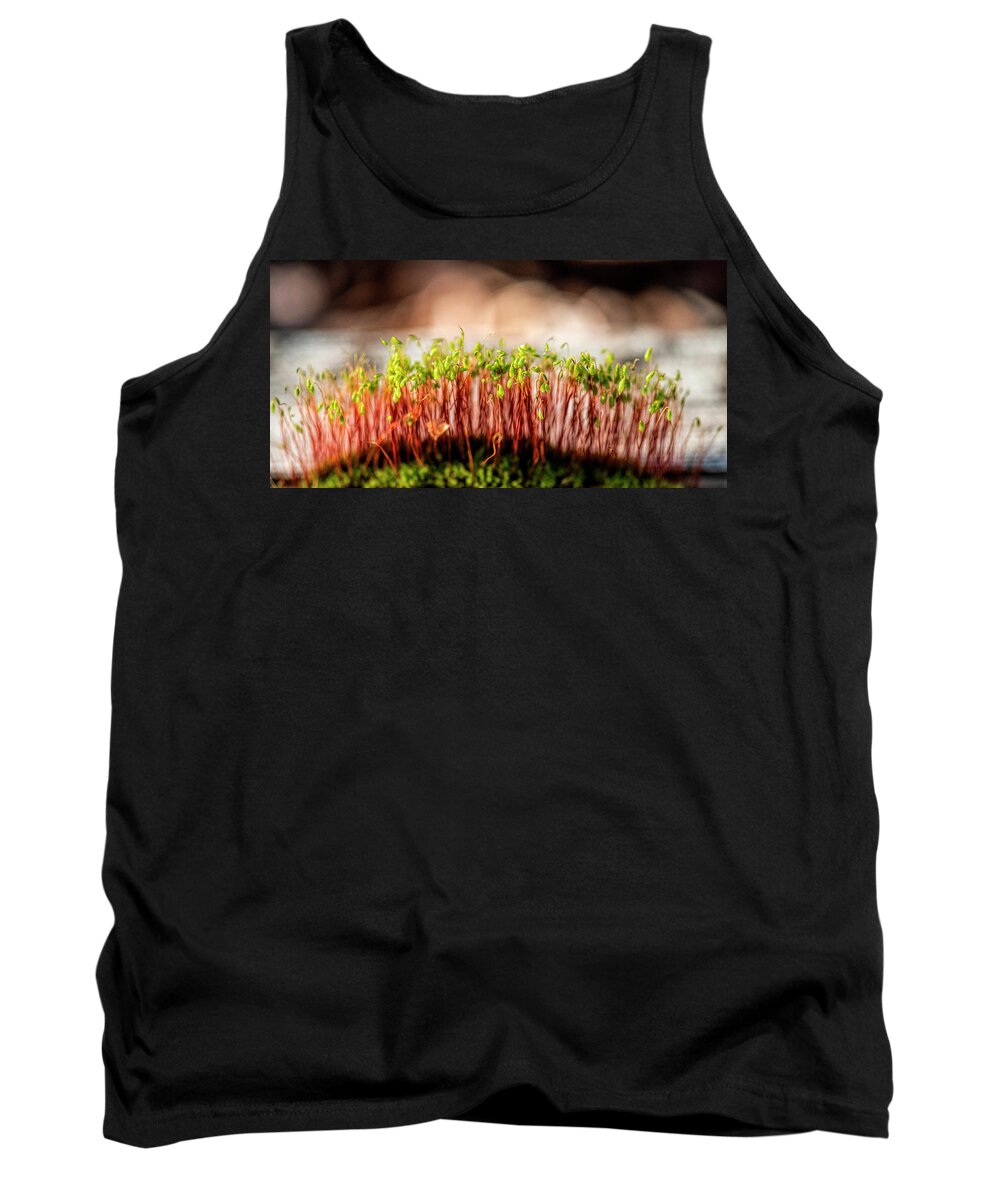 Macro Tank Top featuring the photograph Mossy Forest by Pamela Dunn-Parrish
