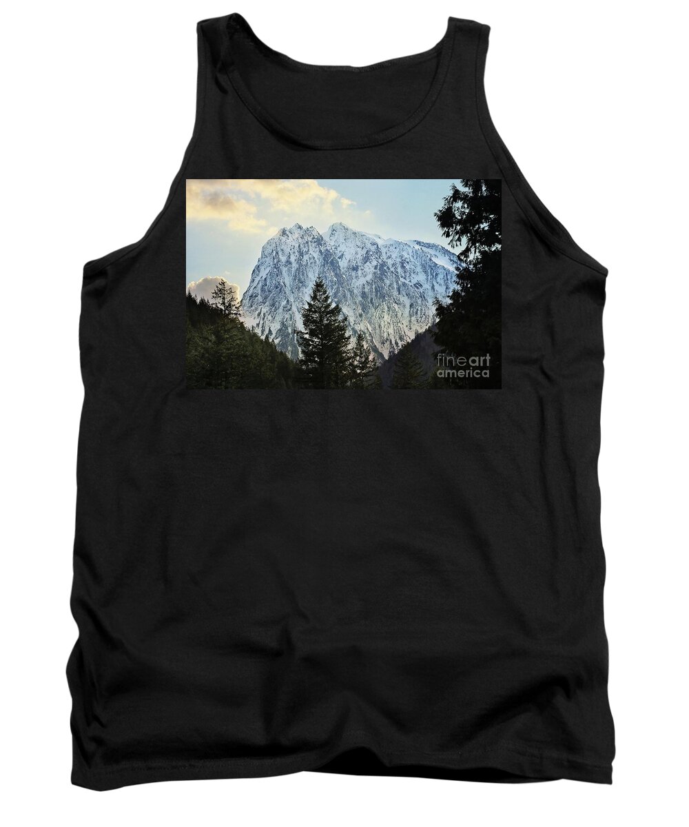 Mountains Tank Top featuring the photograph Mt Index by Sylvia Cook