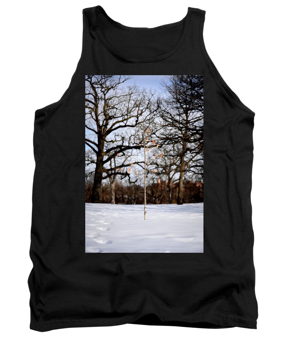 Intimate Landscape Tank Top featuring the photograph Napping Birch by James Covello