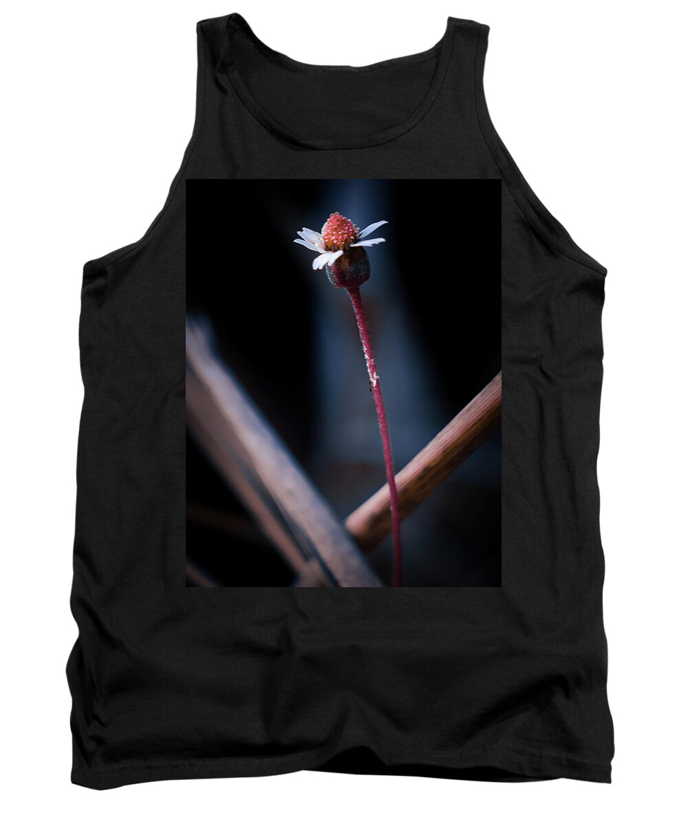 Nature Art Tank Top featuring the photograph Nature Pic 4 by Gian Smith