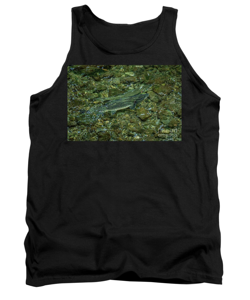 Alaska Tank Top featuring the photograph Pair of Spawning Pink Salmon in Indian River, Sitka, Alaska by Nancy Gleason