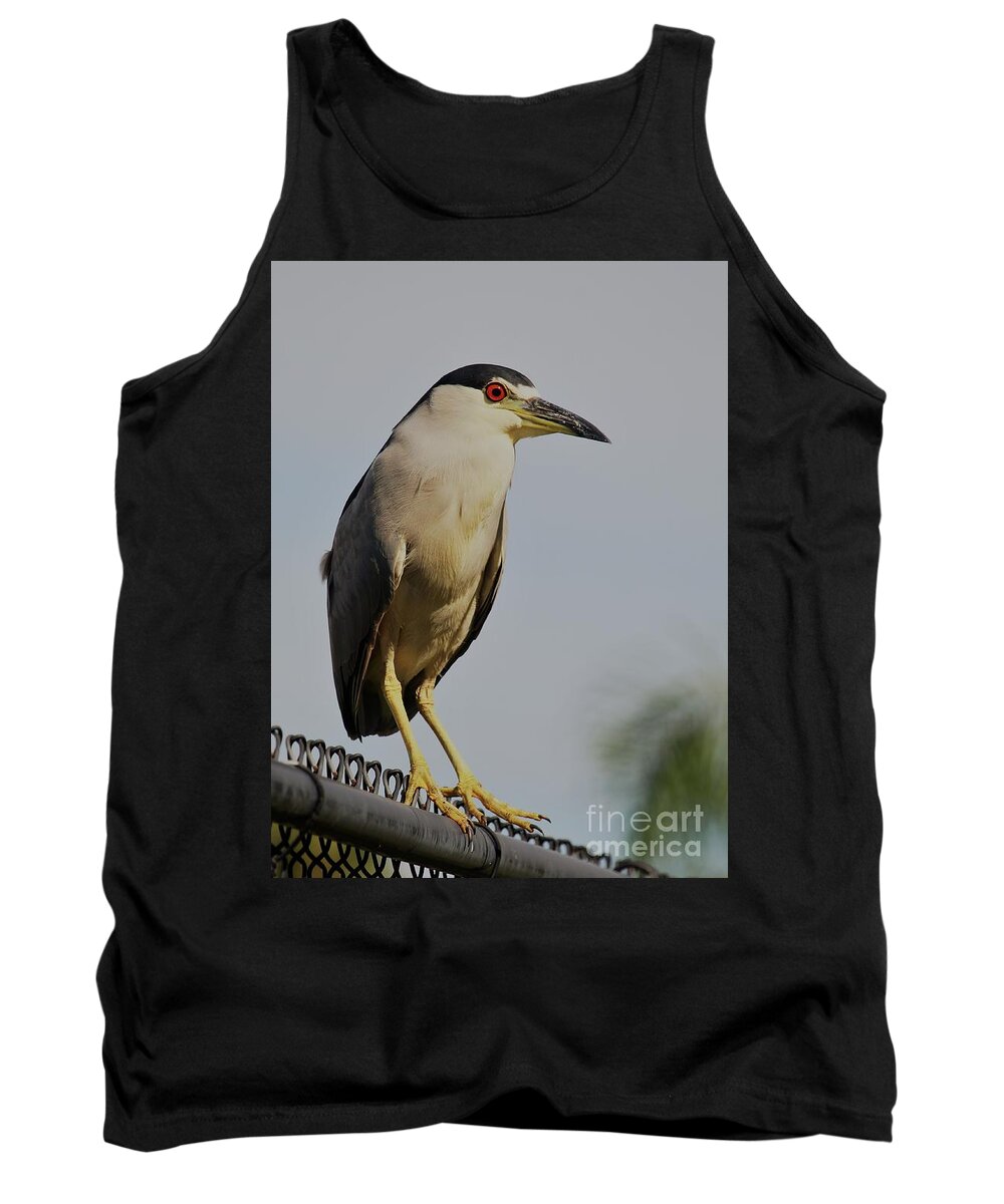 Herons Tank Top featuring the photograph Portrait of a Black Crowned Night Heron by Joanne Carey