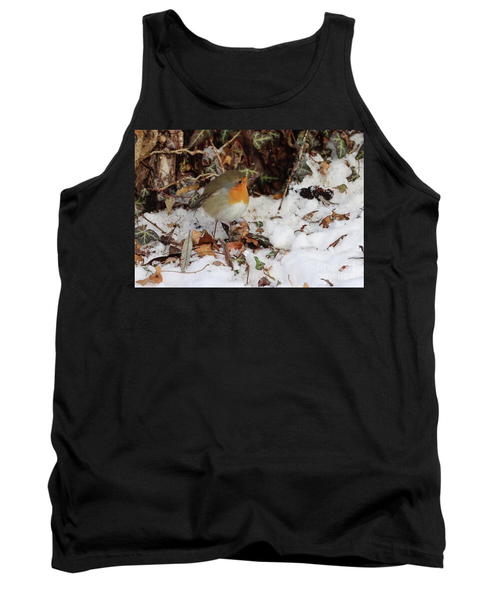 Robin Redbreast Tank Top featuring the photograph Robin Redbreast in Winter by Eva Lechner
