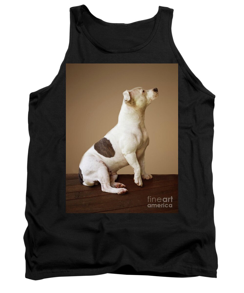 Staffie Tank Top featuring the photograph Ruby - 22 months #2 by Elaine Teague