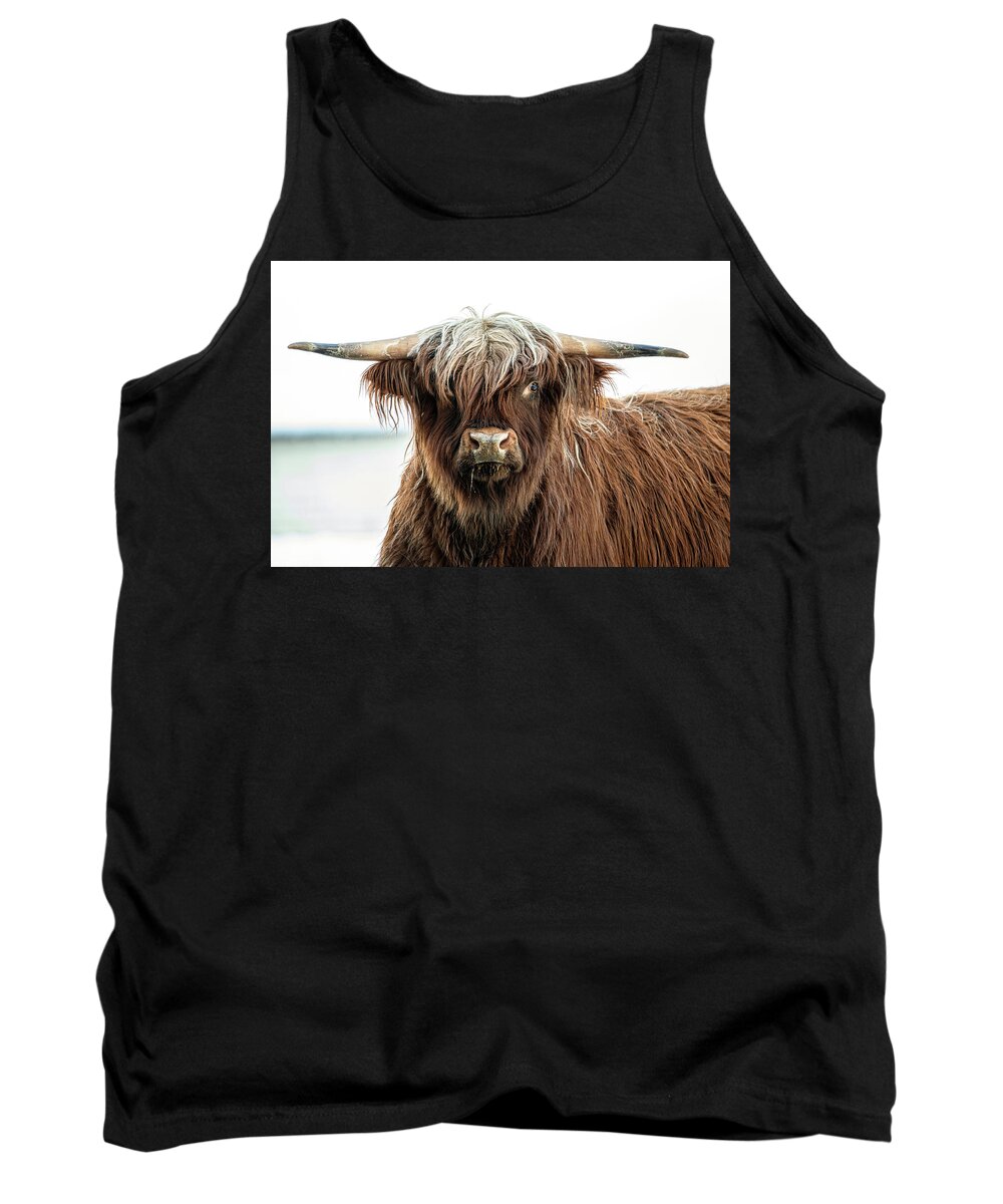 Shaggy Tank Top featuring the photograph Shaggy Cow by Denise Kopko