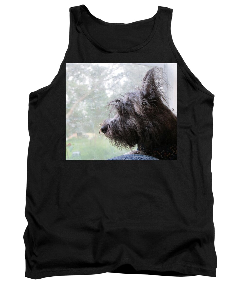 Cairn Terrier Tank Top featuring the photograph Smudge Alpin MacRuff by Tambra Nicole Kendall