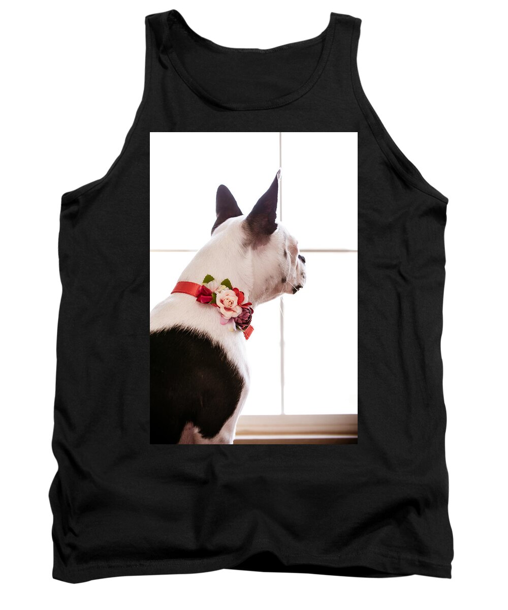 Dog Tank Top featuring the photograph Snow Looking Out Window by Jeanette Fellows