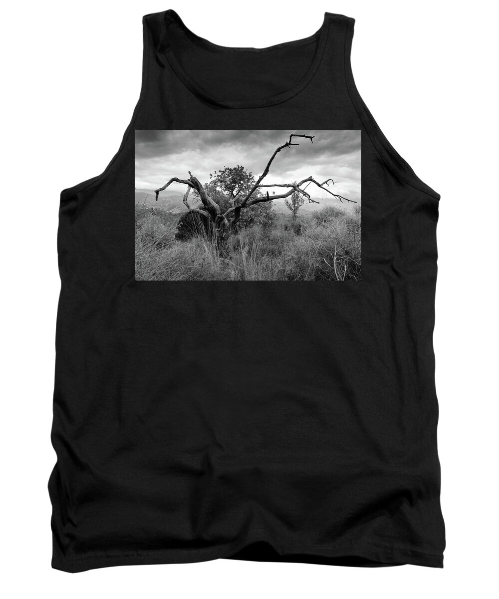 Spider Awards Tank Top featuring the photograph Spider by Gary Browne