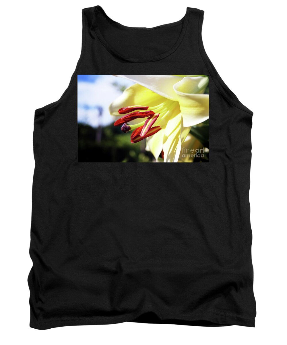 Lily; Spring Flower; Spring; Yellow Flower; Clouds; Horizontal; Outdoors; Close-up; Macro; Tank Top featuring the photograph Spring Lily by Tina Uihlein