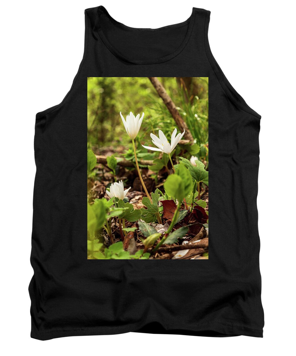 Bloodroot Tank Top featuring the photograph Stair Step Bloodroot by Cynthia Clark
