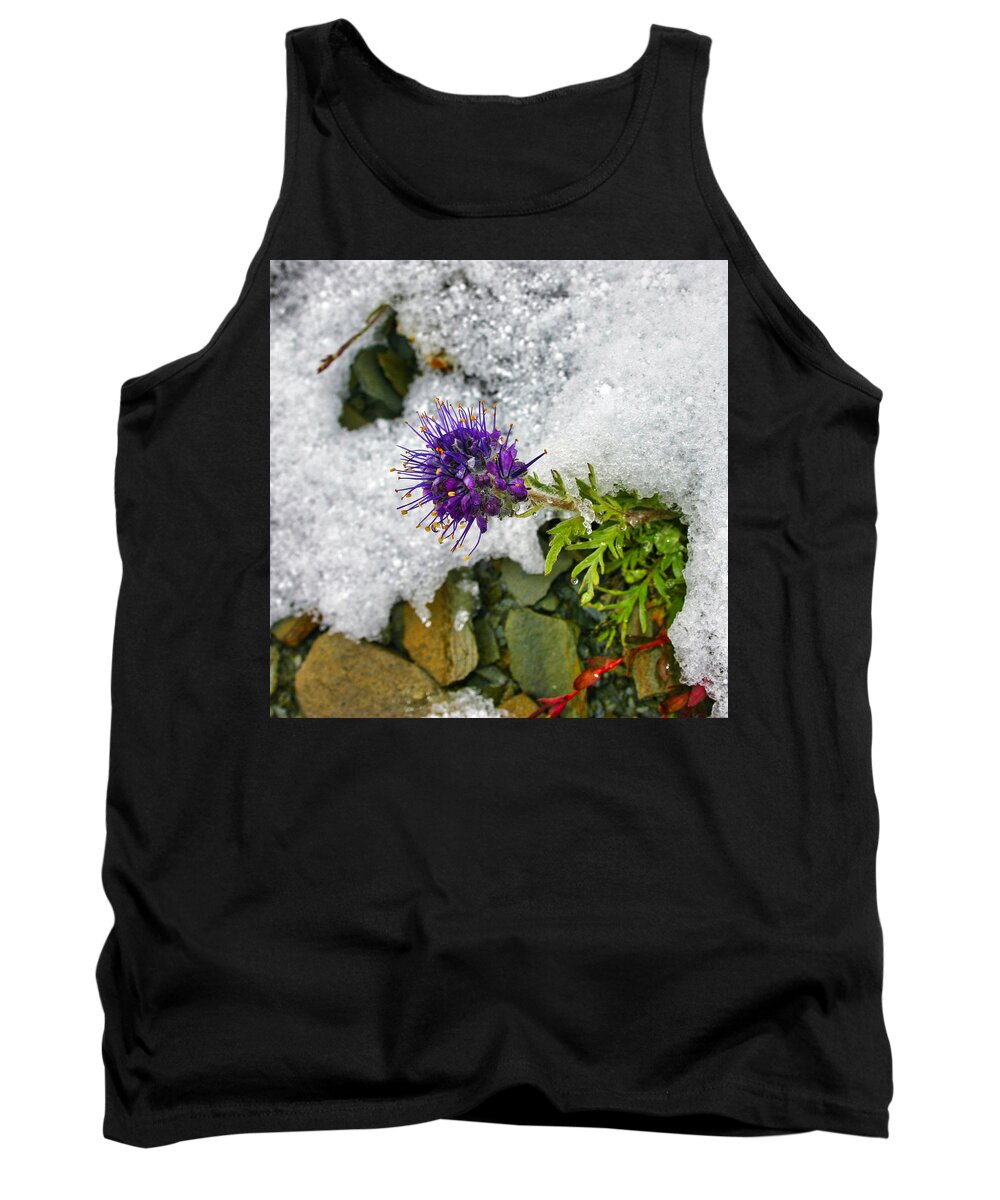 Summer Snow Clover Tank Top featuring the photograph Summer Snow Clover by Gene Taylor