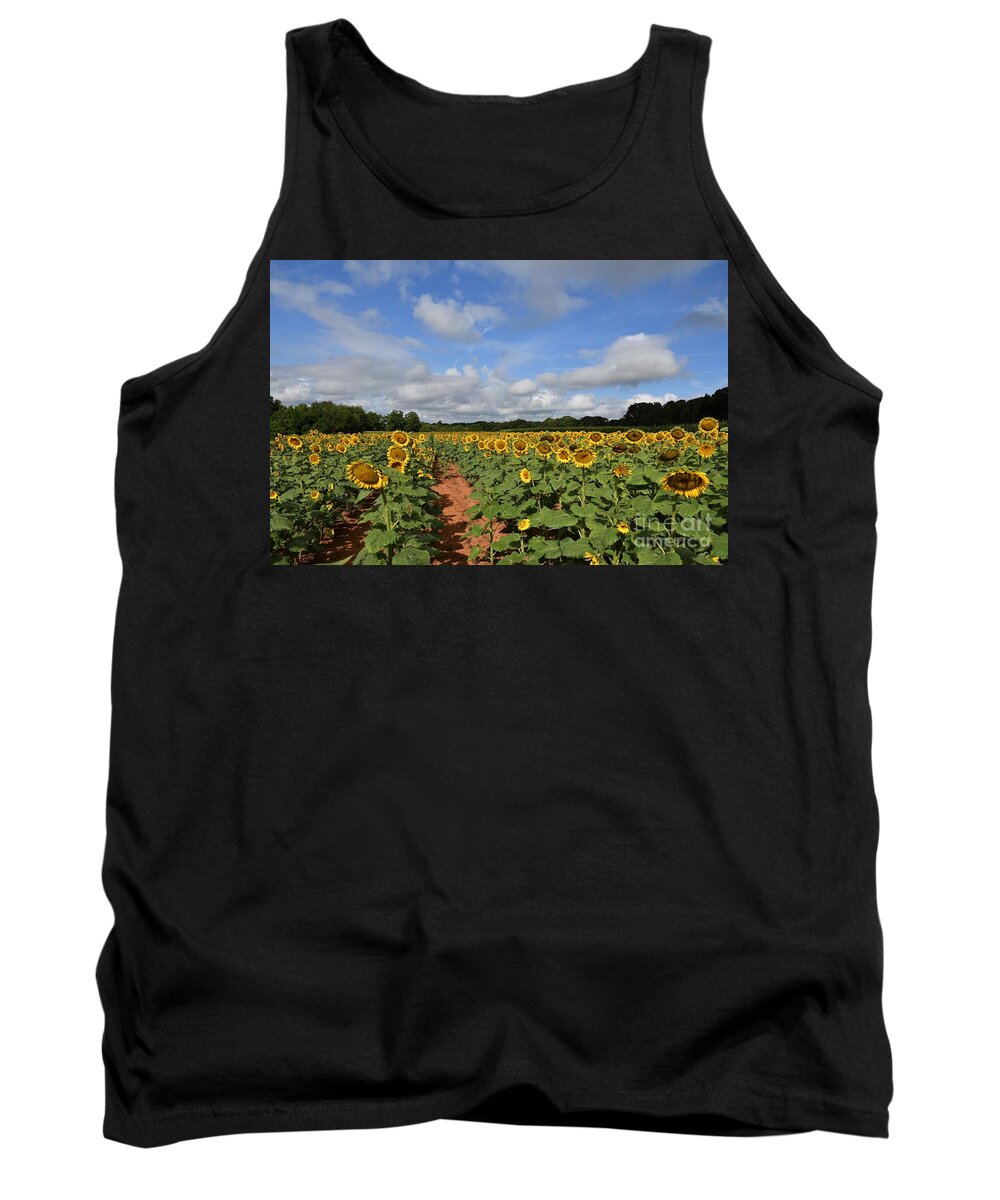 Sunflower Field Tank Top featuring the photograph SC Sunflower Fields by Julie Adair