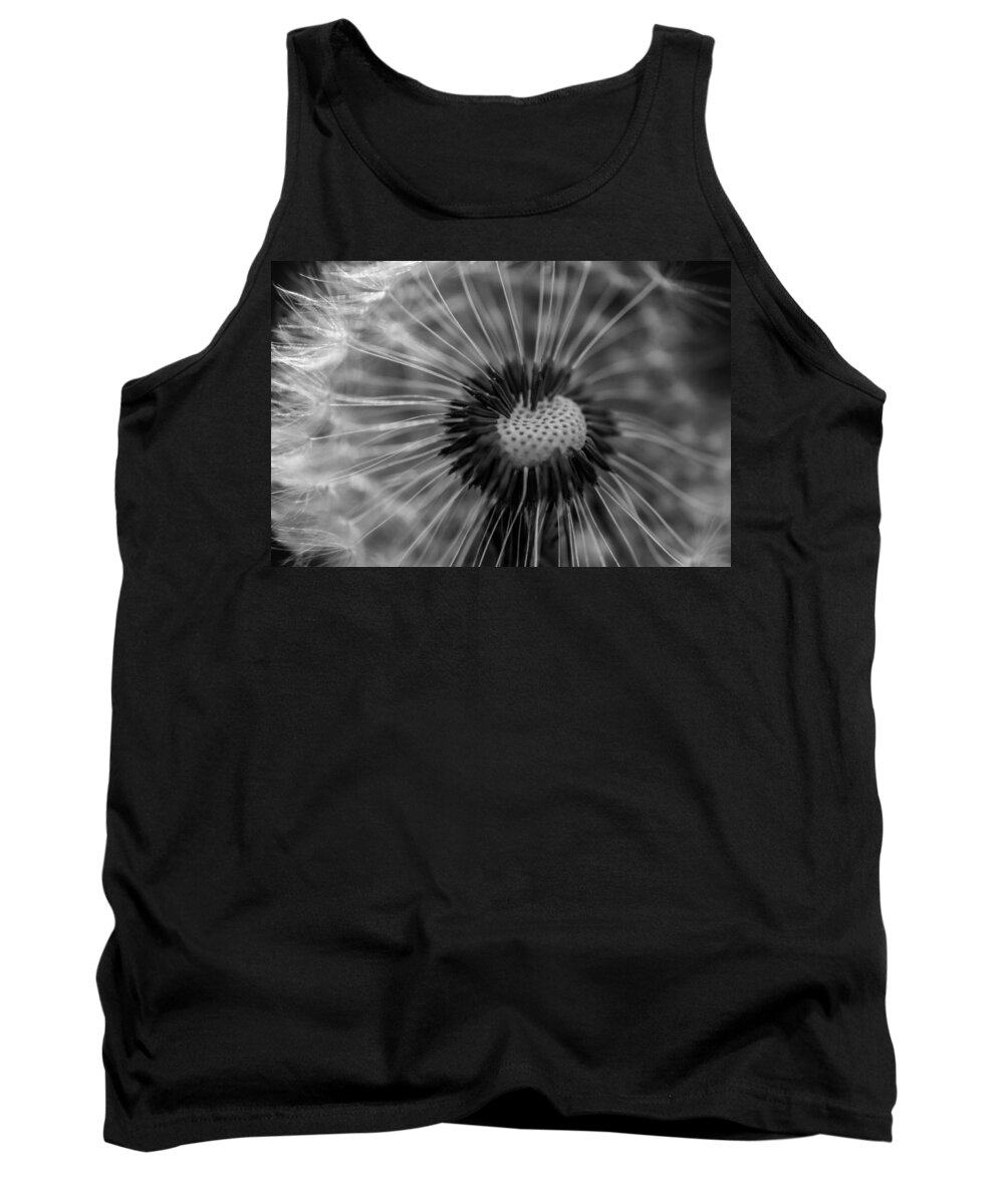 Landscape Tank Top featuring the photograph The dandelion by Jamie Tyler