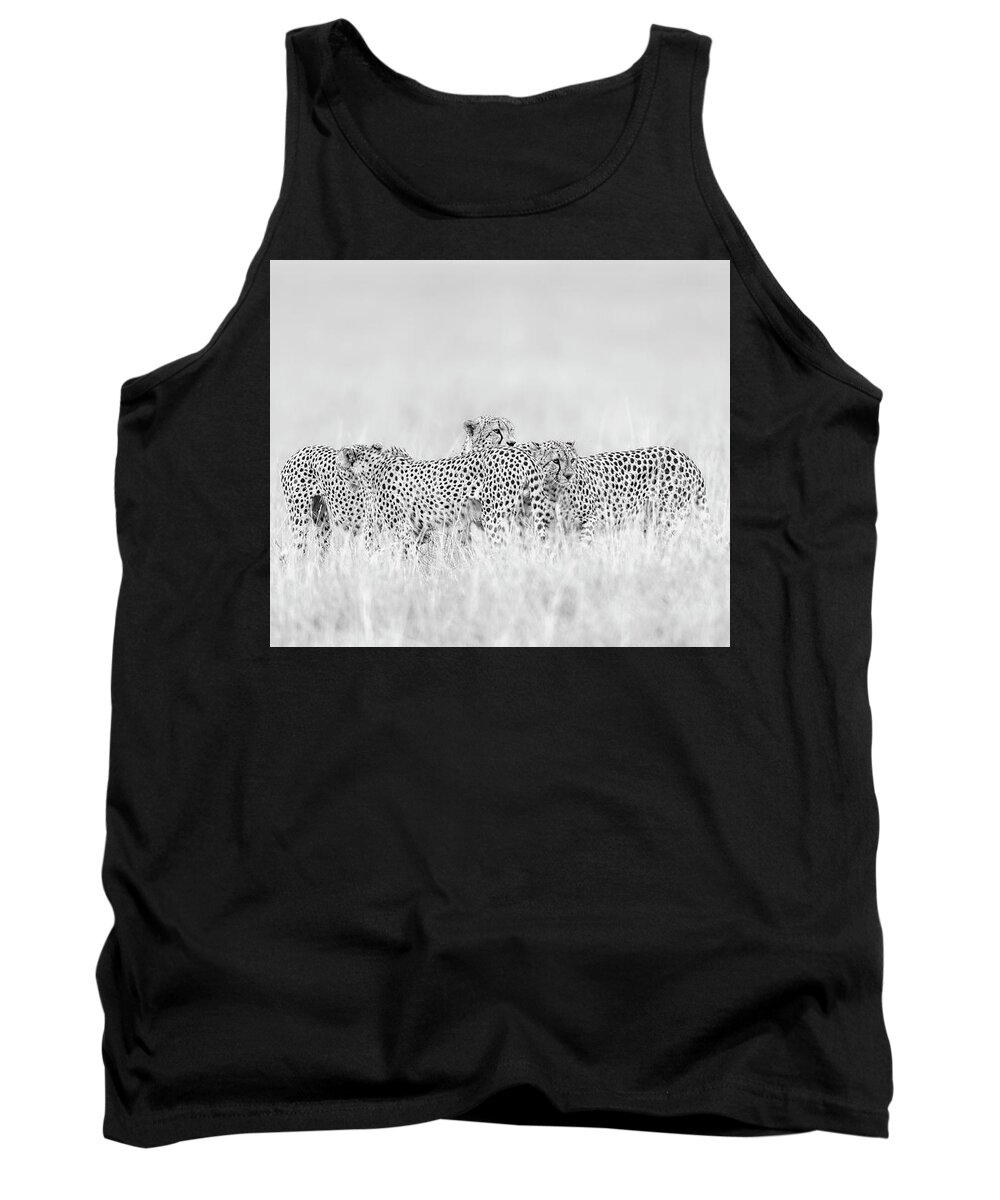 Wild Tank Top featuring the photograph The five brothers by Yasser Essawaf