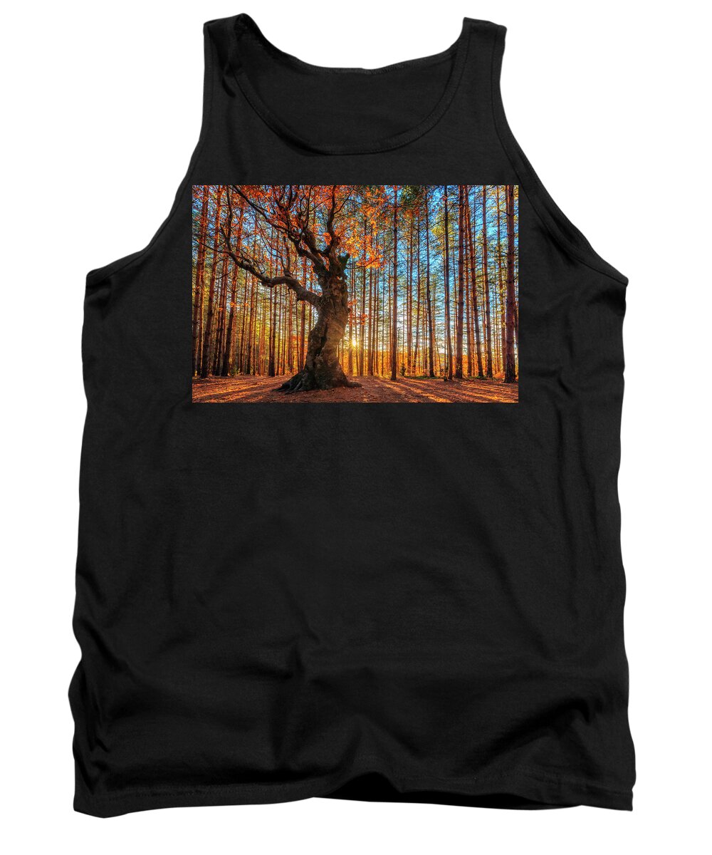 Belintash Tank Top featuring the photograph The King Of the Trees by Evgeni Dinev